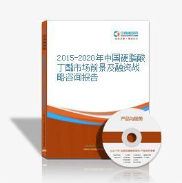 2016-2021年中国硬脂酸丁酯市场前景及投资机会研究