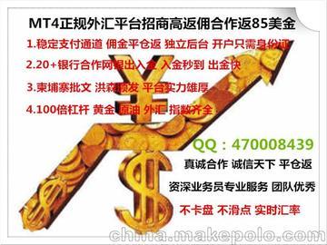 长兴华泰投资咨询有限公司