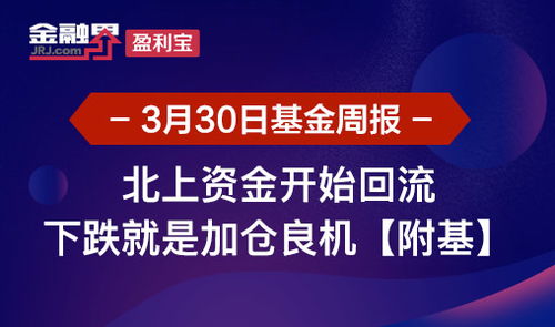金融界盈利宝 资讯 产品 综合互联网智能理财平台,让投资理财更简单